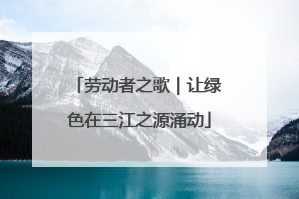 劳动者之歌｜让绿色在三江之源涌动