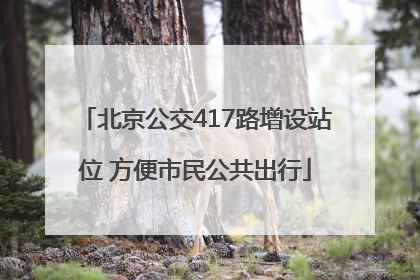 北京公交417路增设站位 方便市民公共出行