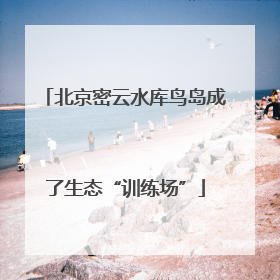 北京密云水库鸟岛成了生态“训练场”
