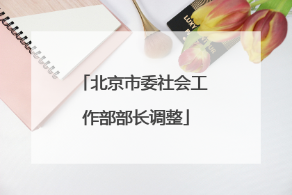 北京市委社会工作部部长调整