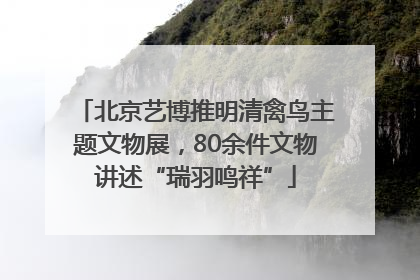 北京艺博推明清禽鸟主题文物展，80余件文物讲述“瑞羽鸣祥”