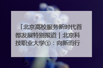 北京高校服务新时代首都发展特别报道｜北京科技职业大学①：向新而行，为首都低空经济发展提供“即战力”