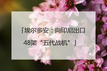 埃尔多安：向印尼出口48架“五代战机”