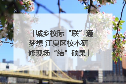 城乡校际“联”通梦想 江夏区校本研修现场“结”硕果