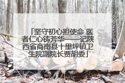 坚守初心担使命 医者仁心铸芳华——记陕西省商南县十里坪镇卫生院副院长贾胡委
