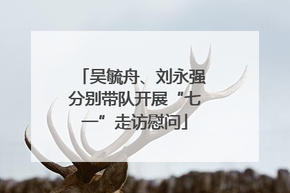 吴毓舟、刘永强分别带队开展“七一”走访慰问