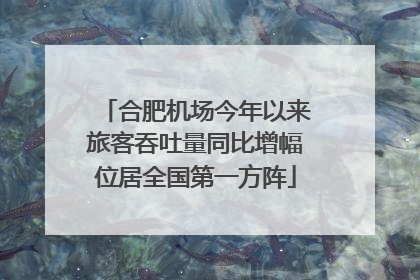 合肥机场今年以来旅客吞吐量同比增幅位居全国第一方阵