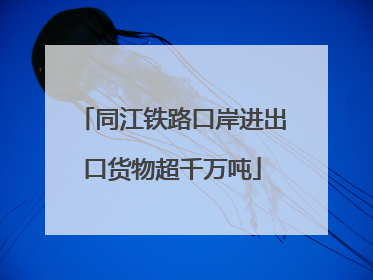 同江铁路口岸进出口货物超千万吨