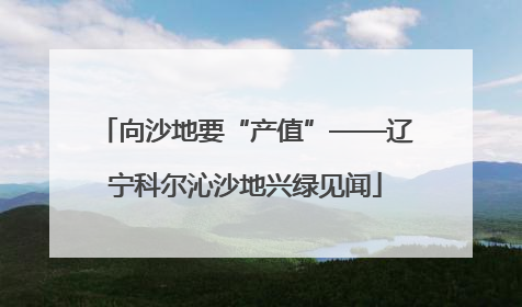 向沙地要“产值”——辽宁科尔沁沙地兴绿见闻