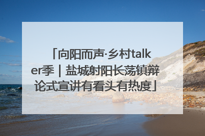 向阳而声·乡村talker季｜盐城射阳长荡镇辩论式宣讲有看头有热度
