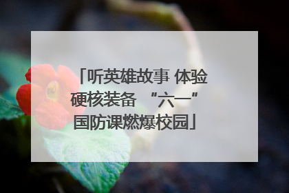 听英雄故事 体验硬核装备 “六一”国防课燃爆校园