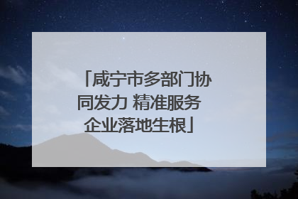 咸宁市多部门协同发力 精准服务企业落地生根