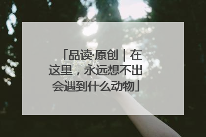 品读·原创｜在这里，永远想不出会遇到什么动物