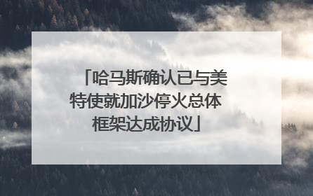 哈马斯确认已与美特使就加沙停火总体框架达成协议