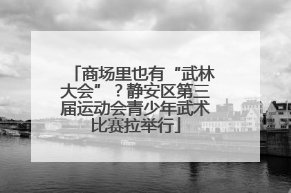 商场里也有“武林大会”？静安区第三届运动会青少年武术比赛拉举行