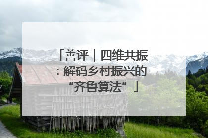 善评｜四维共振：解码乡村振兴的“齐鲁算法”