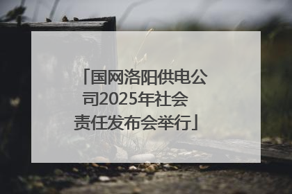 国网洛阳供电公司2025年社会责任发布会举行