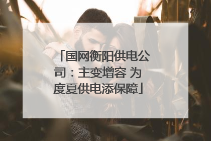 国网衡阳供电公司：主变增容 为度夏供电添保障
