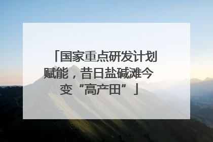 国家重点研发计划赋能，昔日盐碱滩今变“高产田”