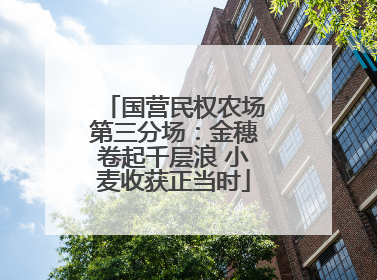 国营民权农场第三分场：金穗卷起千层浪 小麦收获正当时