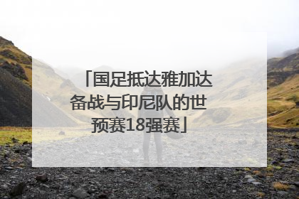 国足抵达雅加达备战与印尼队的世预赛18强赛