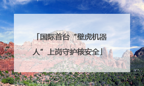 国际首台“壁虎机器人”上岗守护核安全