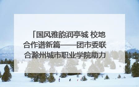 国风雅韵润亭城 校地合作谱新篇——团市委联合滁州城市职业学院助力传统文化“破圈”绽放
