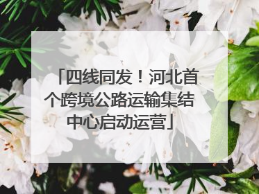四线同发！河北首个跨境公路运输集结中心启动运营