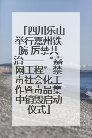 四川乐山举行嘉州铁腕 厉禁共治——“嘉网工程”禁毒社会化工作暨毒品集中销毁启动仪式
