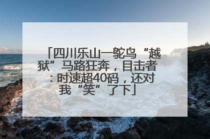 四川乐山一鸵鸟“越狱”马路狂奔，目击者：时速超40码，还对我“笑”了下