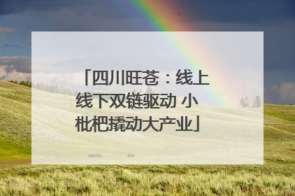 四川旺苍：线上线下双链驱动 小枇杷撬动大产业