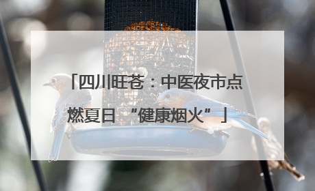 四川旺苍：中医夜市点燃夏日 “健康烟火”