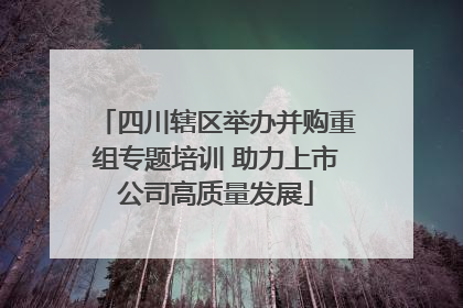 四川辖区举办并购重组专题培训 助力上市公司高质量发展