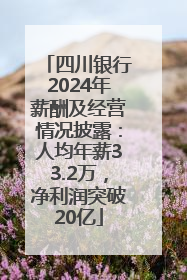 四川银行2024年薪酬及经营情况披露：人均年薪33.2万，净利润突破20亿