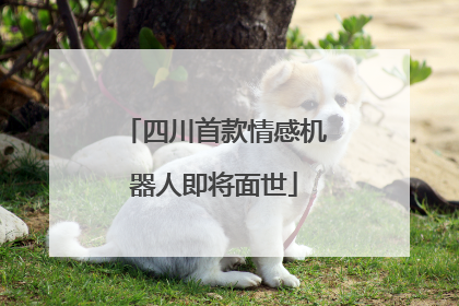 四川首款情感机器人即将面世