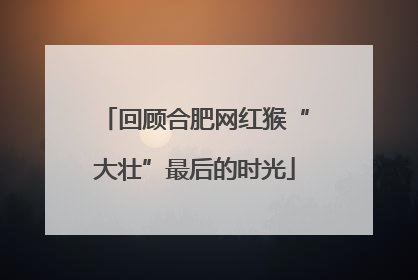 回顾合肥网红猴“大壮”最后的时光