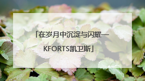 在岁月中沉淀与闪耀—KFORTS凯卫斯