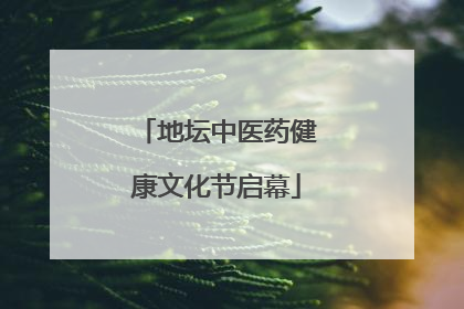 地坛中医药健康文化节启幕