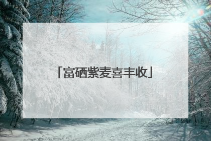 富硒紫麦喜丰收
