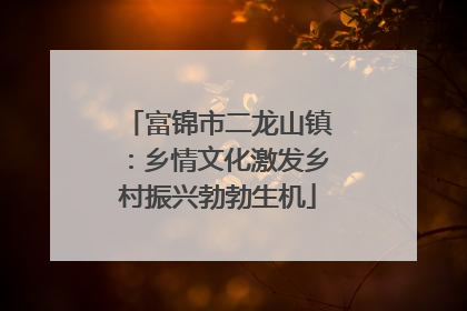 富锦市二龙山镇：乡情文化激发乡村振兴勃勃生机