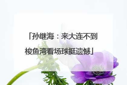孙继海：来大连不到梭鱼湾看场球挺遗憾