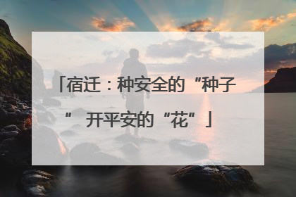 宿迁：种安全的“种子” 开平安的“花”
