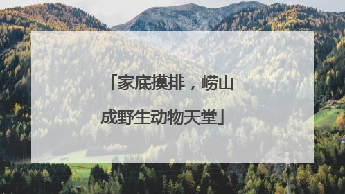 家底摸排，崂山成野生动物天堂