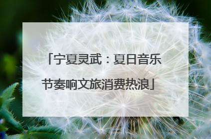 宁夏灵武：夏日音乐节奏响文旅消费热浪