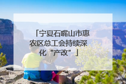 宁夏石嘴山市惠农区总工会持续深化“产改”