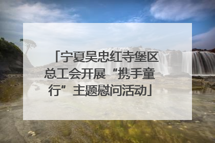 宁夏吴忠红寺堡区总工会开展“携手童行”主题慰问活动
