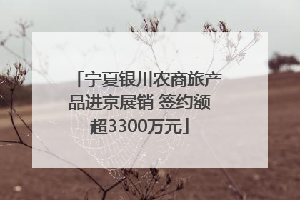 宁夏银川农商旅产品进京展销 签约额超3300万元