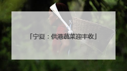 宁夏：供港蔬菜迎丰收
