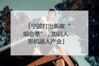 宁波打出新政“组合拳”，加码人形机器人产业