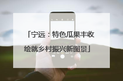 宁远：特色瓜果丰收绘就乡村振兴新图景